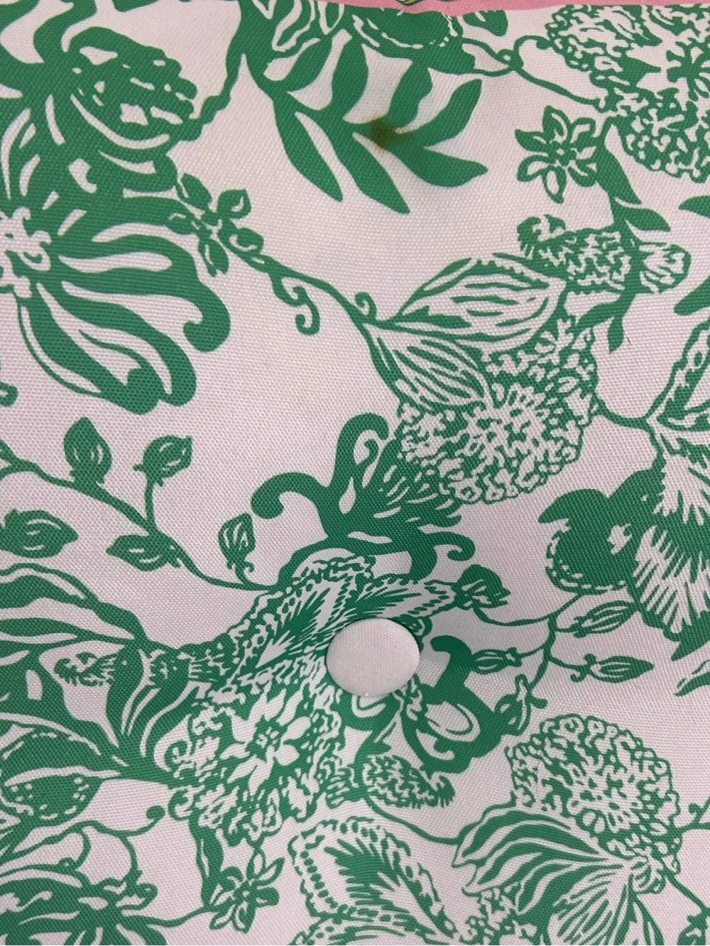 Set of 2 Lilly Pulitzer Via Amore Spritzer indoor/outdoor pillows 20x20